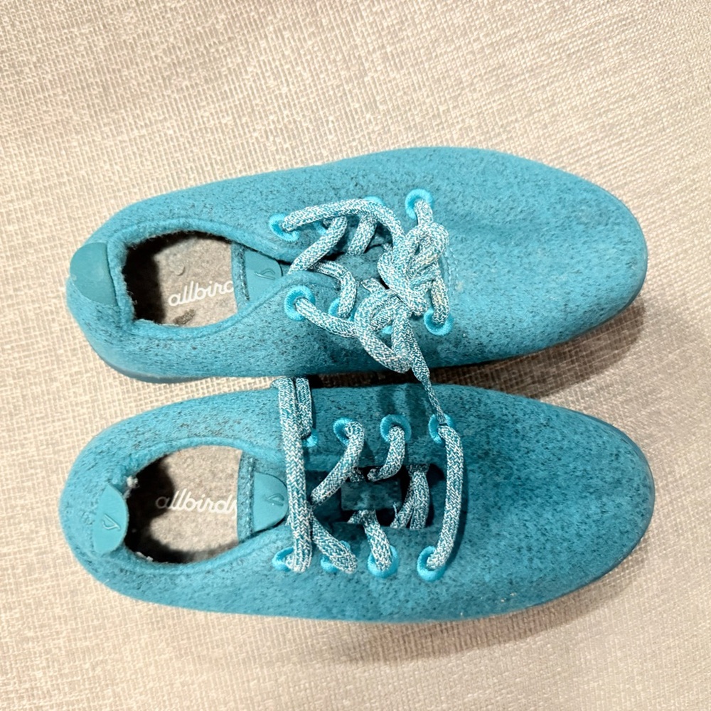 Dark Teal Allbirds Wool Runners